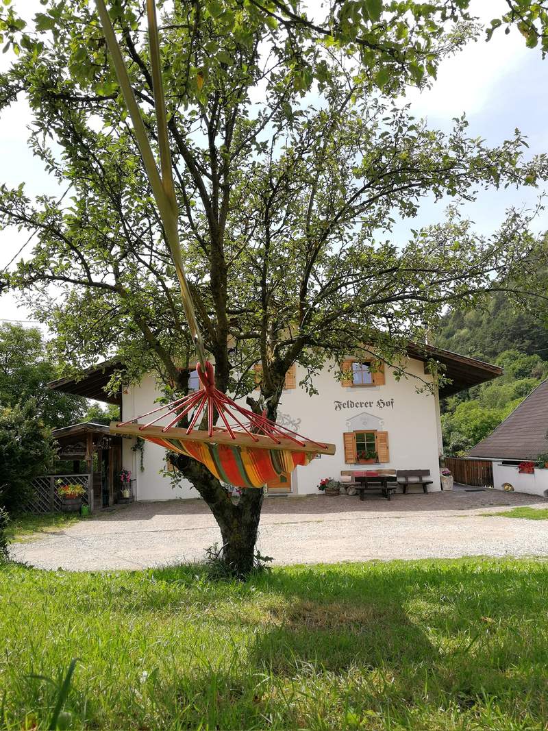 Hängematte unter dem Apfelbaum im Garten